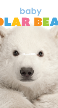 Baby Polar Bears - Starting Out - Kate Riggs - English