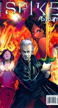 Spike - Asylum 05 (of 5) - IDW 2007 - English