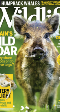 BBC Wildlife 2015 13 - English