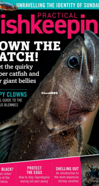 Practical Fishkeeping Magazine - 2021-08 - English