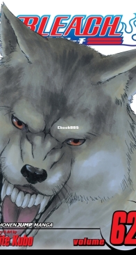 Bleach Colored 62 (of 74) - Viz 2014 - Tite Kubo - English