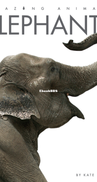 Elephants - Amazing Animals - Kate Riggs - English