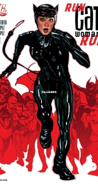 Catwoman Vol 3. 77 (of 83) - DC Comics 2008 - English