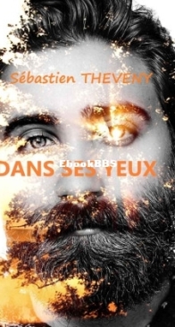 Dans Ses Yeux - Sébastien Theveny - French