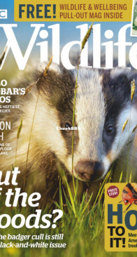 BBC Wildlife 2020 05 - English