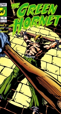 The Green Hornet Vol.2 30 (of 40) - Now Comis 1994 - English