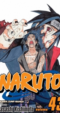 Naruto - Black and White - 43 (of 72) - Viz 2009 - Masashi Kishimoto - English