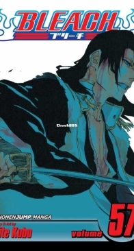 Bleach Colored 57 (of 74) - Viz 2013 - Tite Kubo - English
