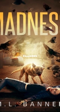 Madness - M.L. Banner - English