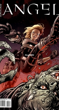 Angel v2 20 (of 44) - IDW 2009 - English