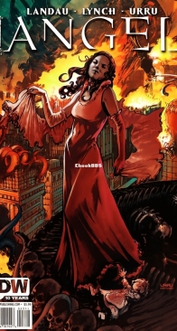 Angel v2 25 (of 44) - IDW 2009 - English