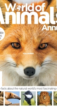 World of Animals Annual 2 - 2015 - English