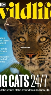 BBC Wildlife 2024 10 - English