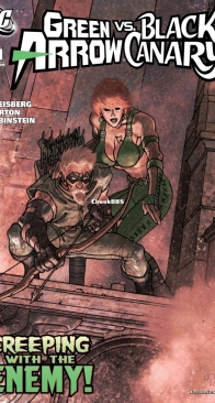 Green Arrow Vol 4. - Black Canary 21 (of 32) - 2009 DC Comics - English