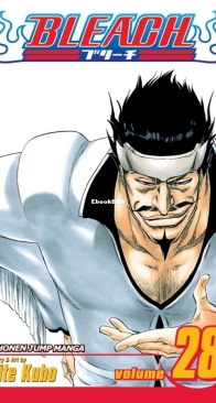 Bleach Colored 28 (of 74) - Viz 2009 - Tite Kubo - English