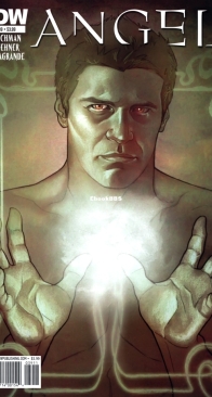 Angel v2 39 (of 44) - IDW 2010 - English