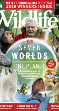 BBC Wildlife 2019 12 - English