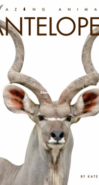 Antelopes - Amazing Animals - Kate Riggs - English