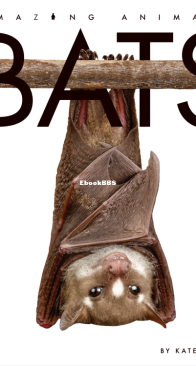Bats - Amazing Animals - Kate Riggs - English