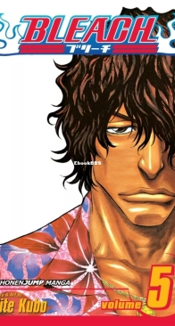Bleach Colored 05 (of 74) - Viz 2005 - Tite Kubo - English