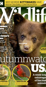 BBC Wildlife 2018 11 - English
