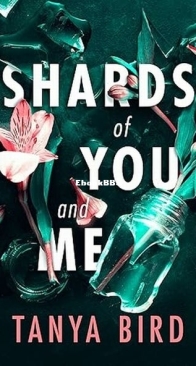 Shards of You and Me - Tanya Bird - English