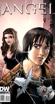 Angel v2 21 (of 44) - IDW 2009 - English