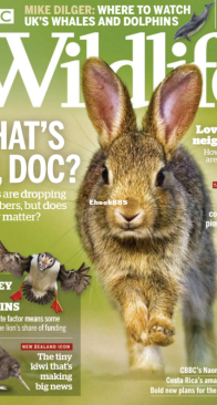 BBC Wildlife 2018 10 - English