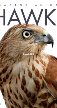Hawks - Amazing Animals - Kate Riggs - English