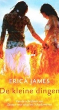 De Kleine Dingen - Erica James - Dutch