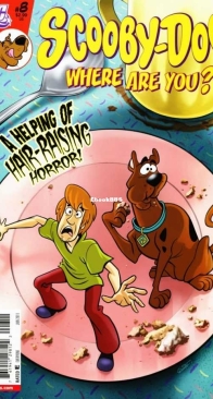Scooby-Doo, Where Are You? 08 - DC Comics 2011 - Scott Gross - English