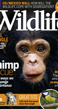 BBC Wildlife 2017 06 - English