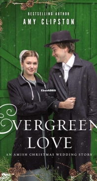 Evergreen Love - Amy Clipston-English