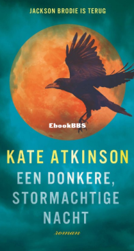 Een Donkere, Stormachtige Nacht - Jackson Brodie 6 - Kate Atkinson - Dutch