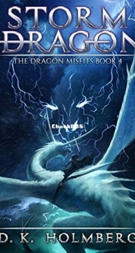 Storm Dragon - The Dragon Misfits 4 - D. K. Holmberg - English