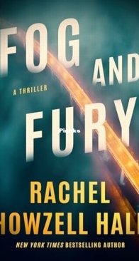 Fog and Fury - Haven Thriller 1 - Rachel Howzell Hall - English