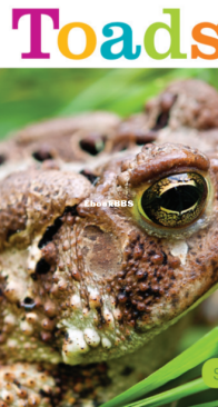 Toads - Seedlings - Quinn M. Arnold - English