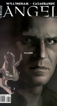 Angel v2 33 (of 44) - IDW 2010 - English