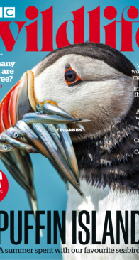 BBC Wildlife 2022 10 - English