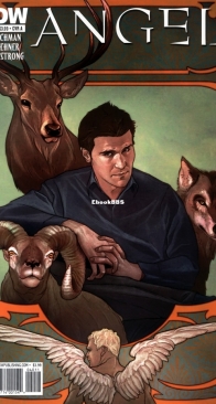 Angel v2 40 (of 44) - IDW 2010 - English