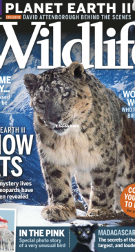 BBC Wildlife 2016 12 - English