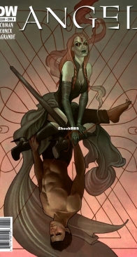 Angel v2 43 (of 44) - IDW 2011 - English