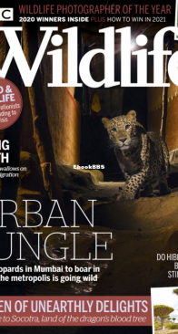 BBC Wildlife 2020 12 - English