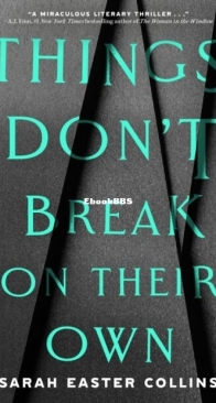Things Don't Break on Their Own - Sarah Easter Collins - English