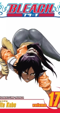 Bleach Colored 17 (of 74) - Viz 2007 - Tite Kubo - English