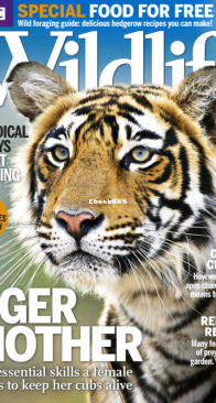 BBC Wildlife 2014 11 - English