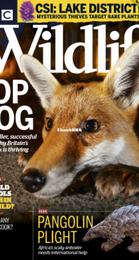 BBC Wildlife 2020 03 - English