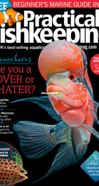 Practical Fishkeeping Magazine - 2018-11 - English