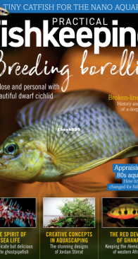 Practical Fishkeeping Magazine - 2021-11 - English