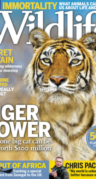 BBC Wildlife 2016 04 - English